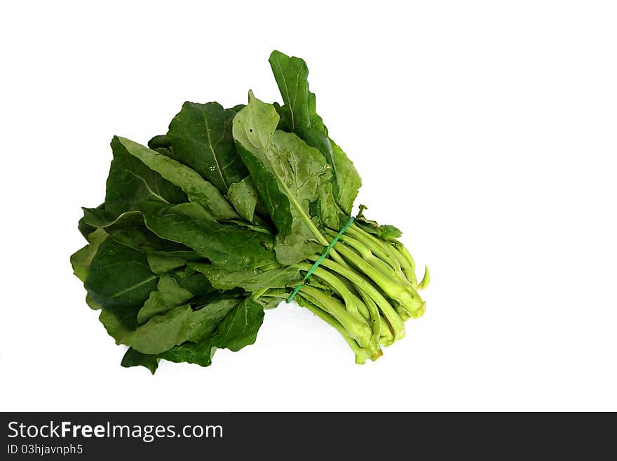 Kailan is a type of Chinese green vegetables