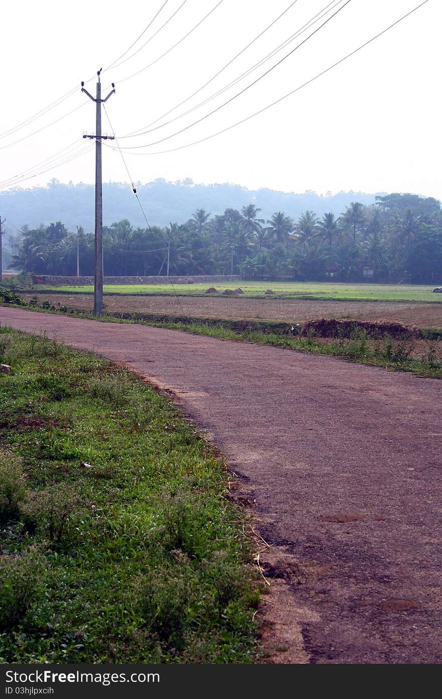 Rural Village Road through Lush Green Paddy Field at Kottayam District, Kerala, South India.