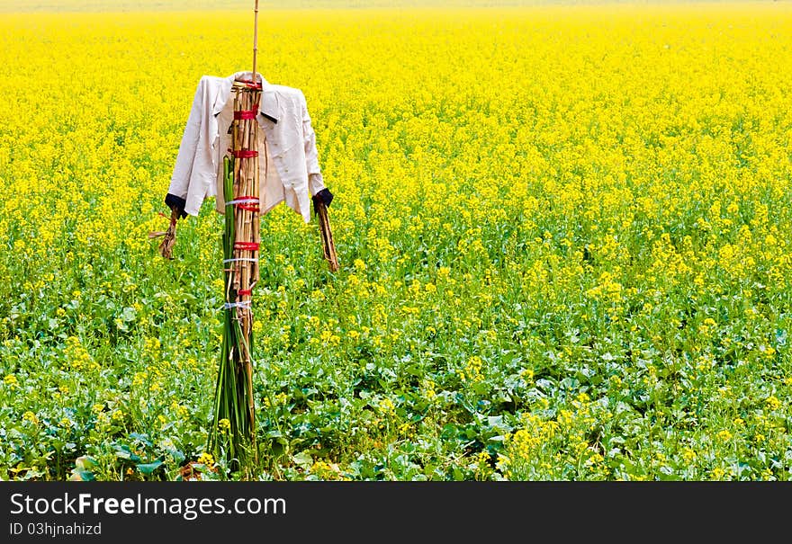 Scarecrow, mannequin dressed in old clothes, stands guard in field. Scarecrow, mannequin dressed in old clothes, stands guard in field