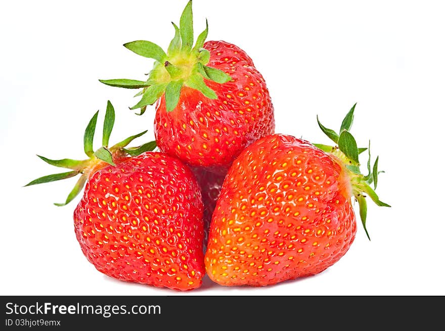 Freshly picked strawberries