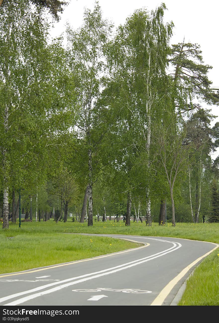 The white line, arrow and symbol used to denote a bicycle lane in the park