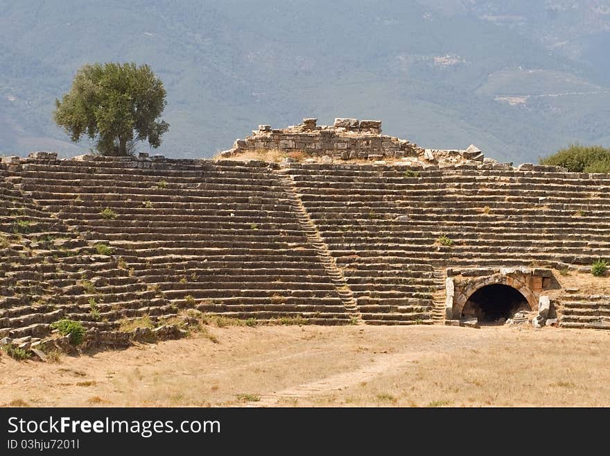 Arena pammekule Turkey