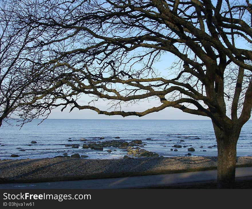 Baltic Strand