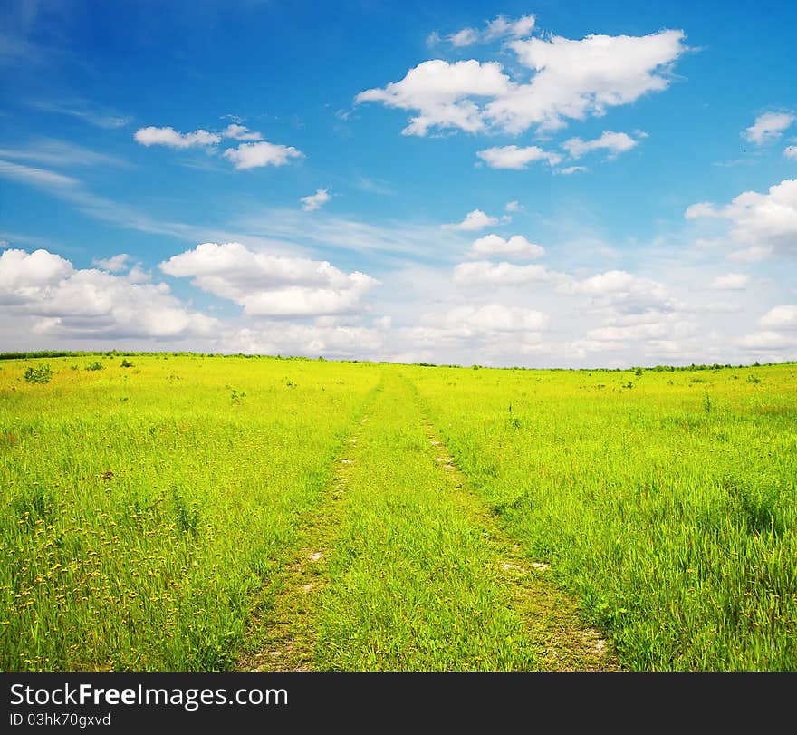 Country road in the fields