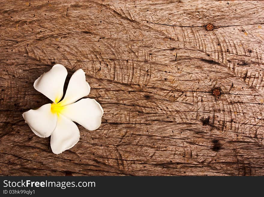 Flowers on the wooden floor. Flowers on the wooden floor.