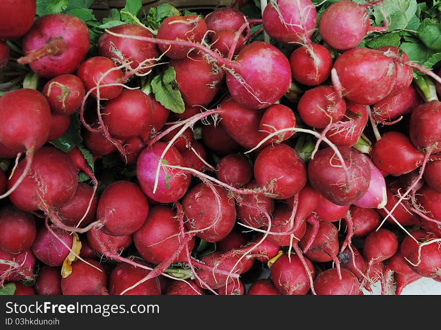 Fresh radishes at a farmer's market