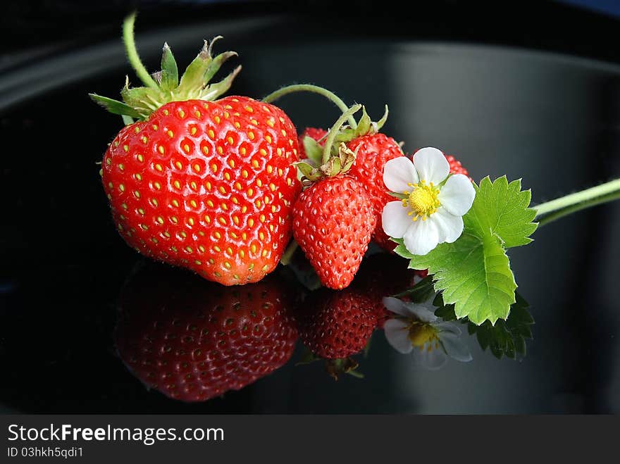 Fresh and tasty strawberries white flower on a black background. Fresh and tasty strawberries white flower on a black background