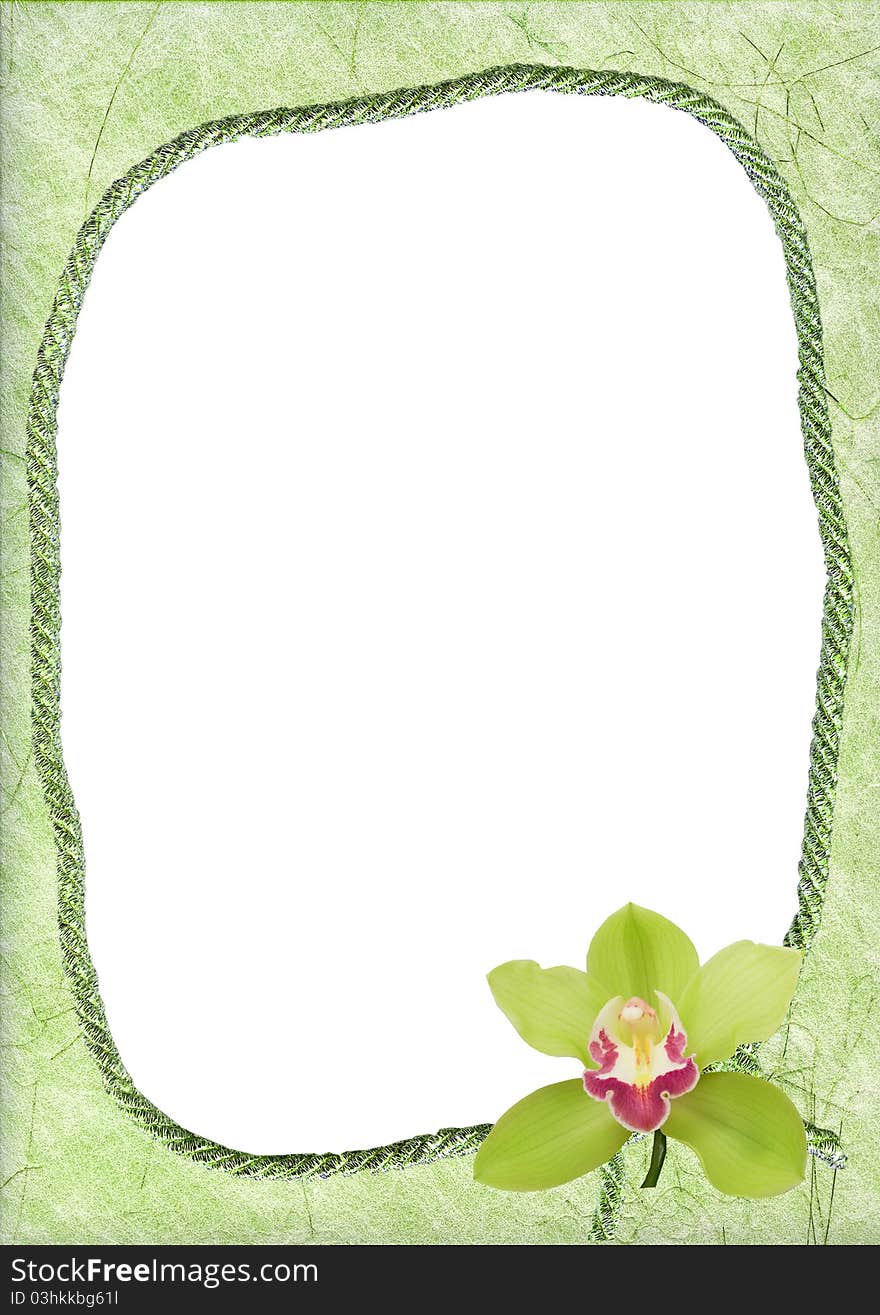 Oval frame with green orchid