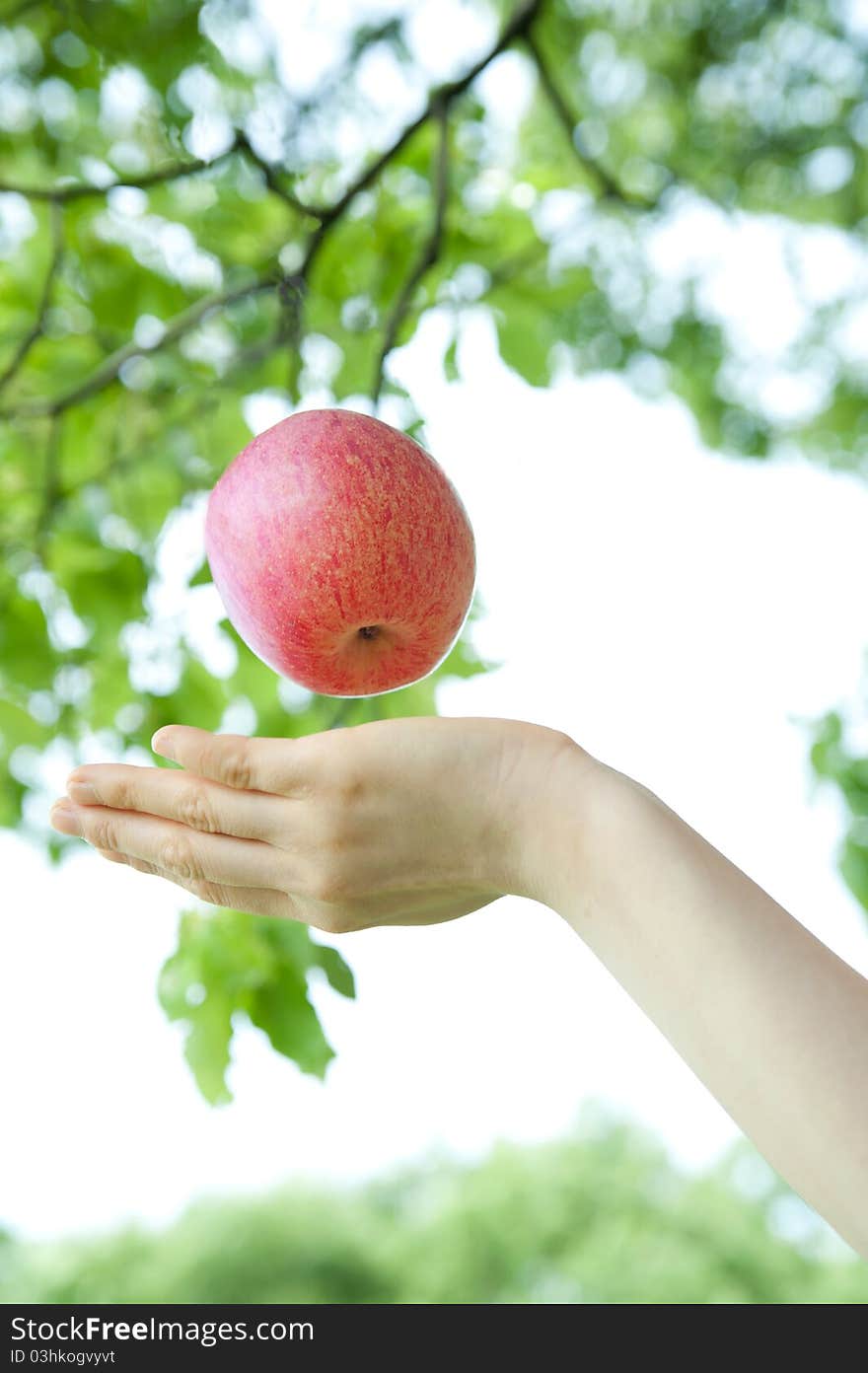 An aerial apple and a hand. An aerial apple and a hand