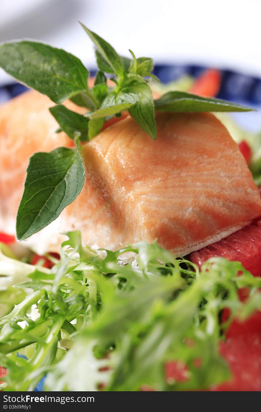 Roasted salmon fillet and salad - detail