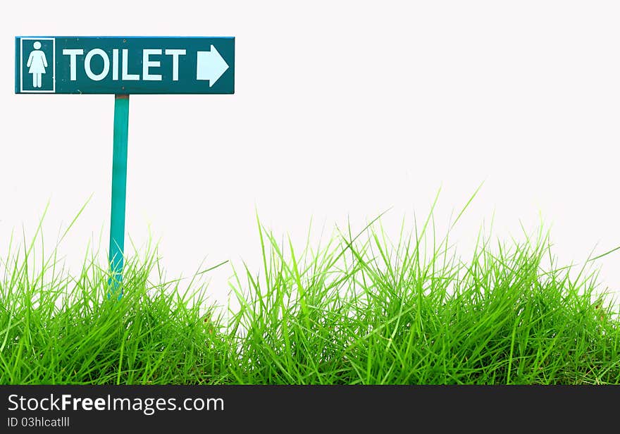 View Green sign toilet against