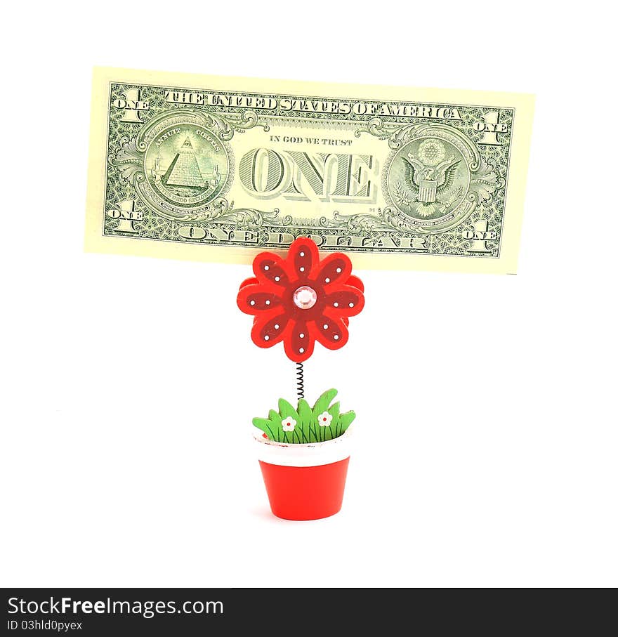 Money tree isolated on white background. Money tree isolated on white background