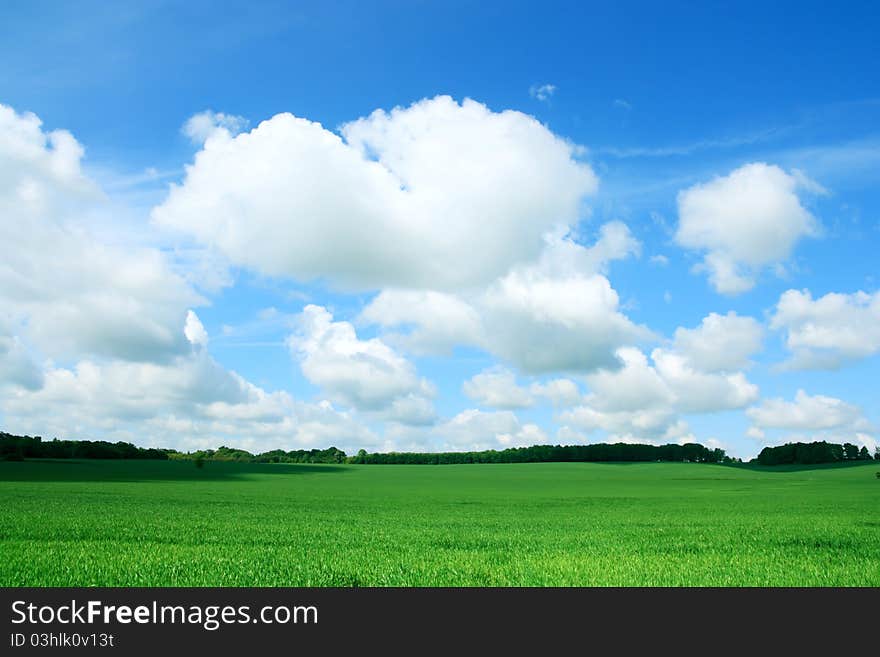 Spring landscape