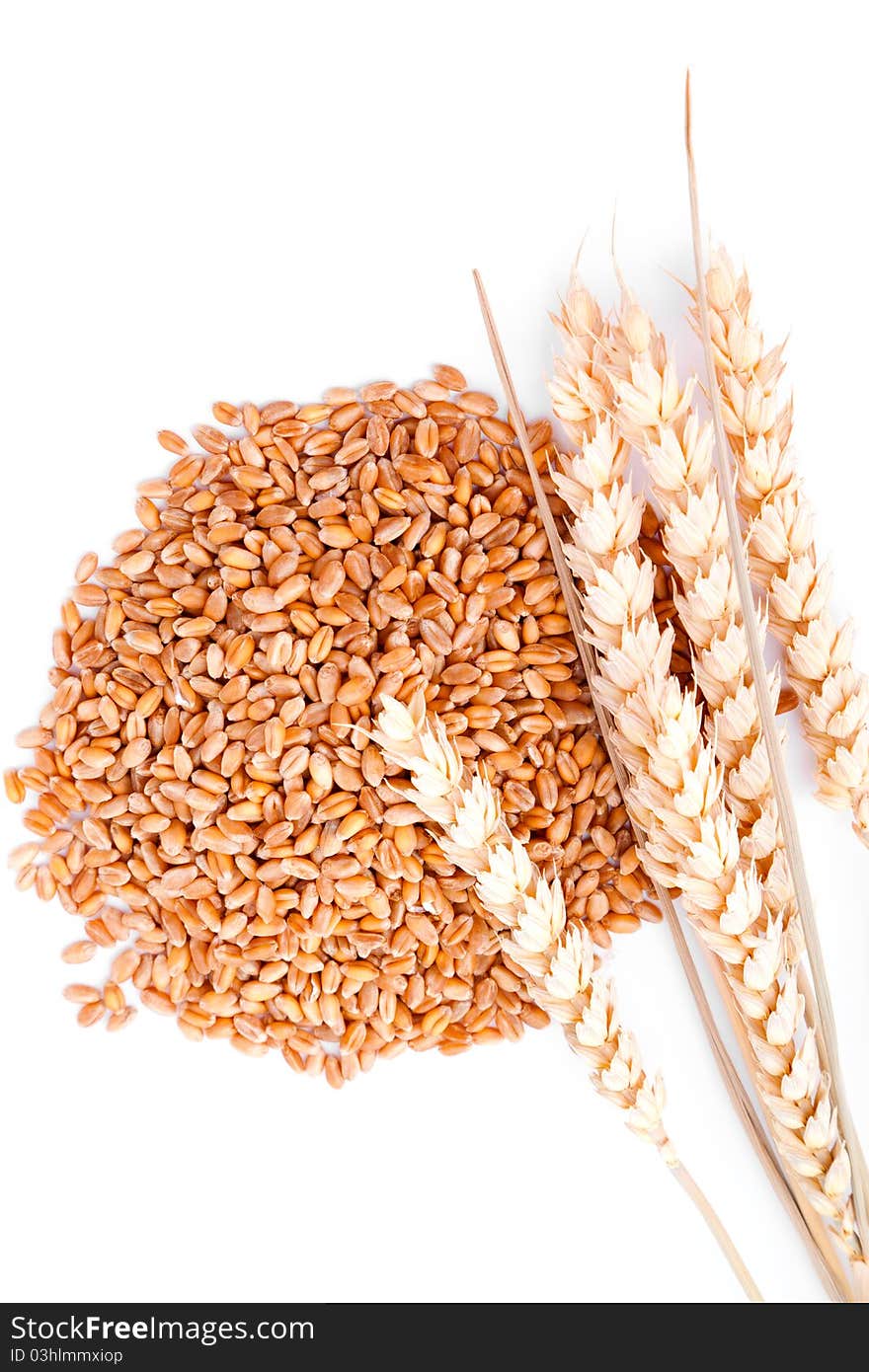 Wheat grain, isolated on a white background