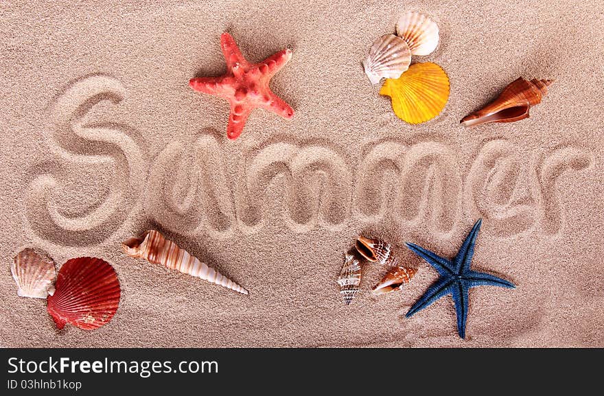 Various kind of Sea shells on sand. Various kind of Sea shells on sand