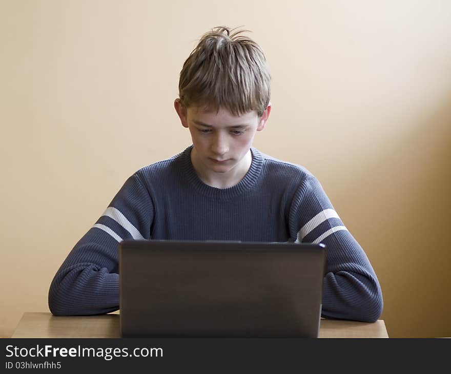 A teenage boy sitting at the computer. A teenage boy sitting at the computer