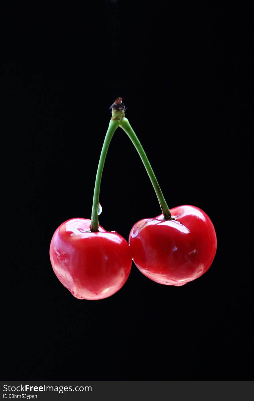 Red cherry on black background.