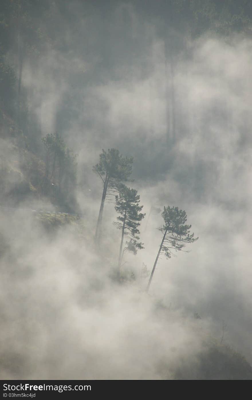 Mist in the valley of the nuns, Island of Madeira