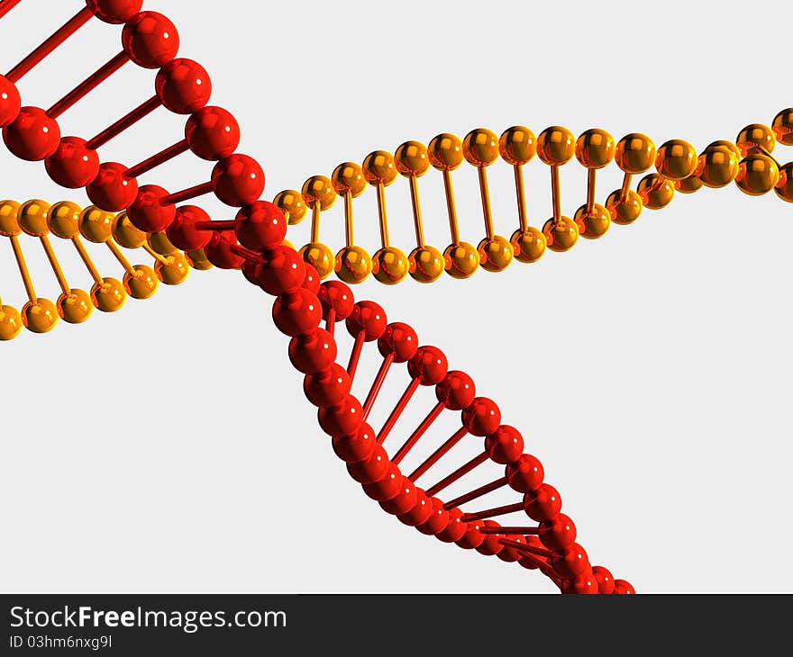 3D rendered isolated yellow and red DNA chains on white