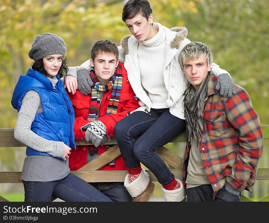 Young friends sitting on fence looking at camera