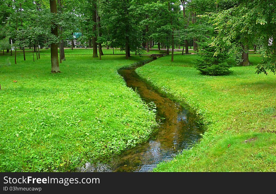 Meandering stream in a green forest