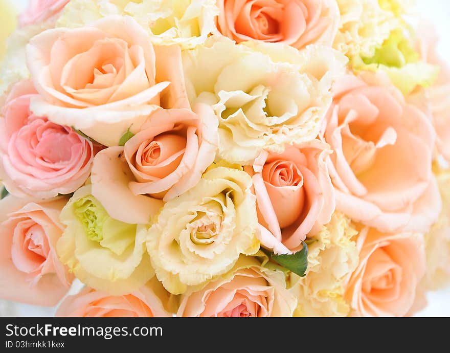 Close up Beautiful flowers on white background