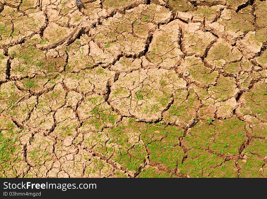 Ground surface under sunlight to be drying together with grass. Ground surface under sunlight to be drying together with grass