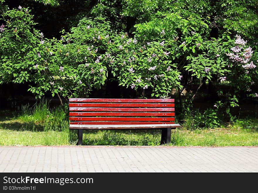 Lonely wooden bench in the park