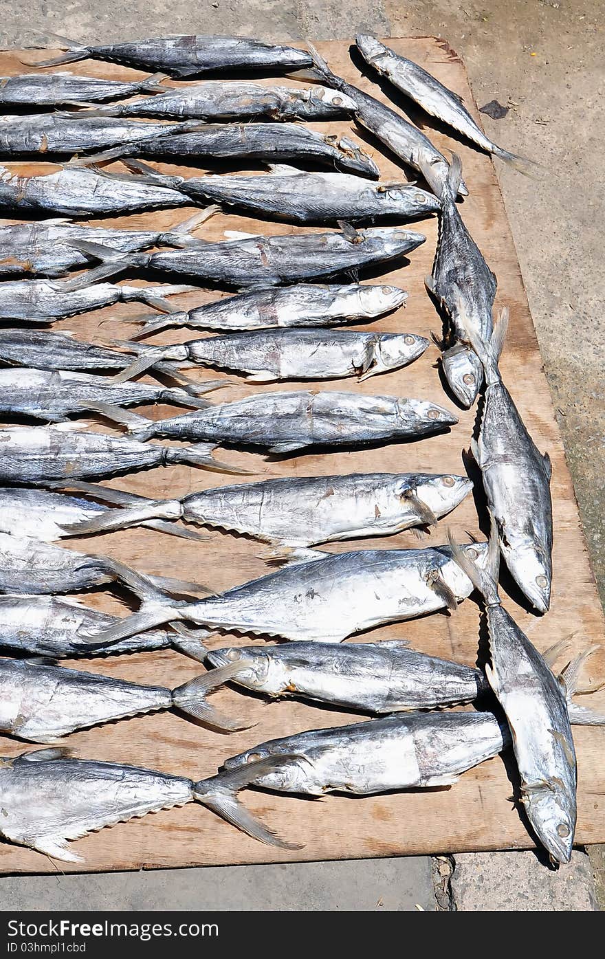 Photo of salted fish dried under the sun at Kota Kinabalu Salted Fish Marked, Sabah Malaysia. Photo of salted fish dried under the sun at Kota Kinabalu Salted Fish Marked, Sabah Malaysia.