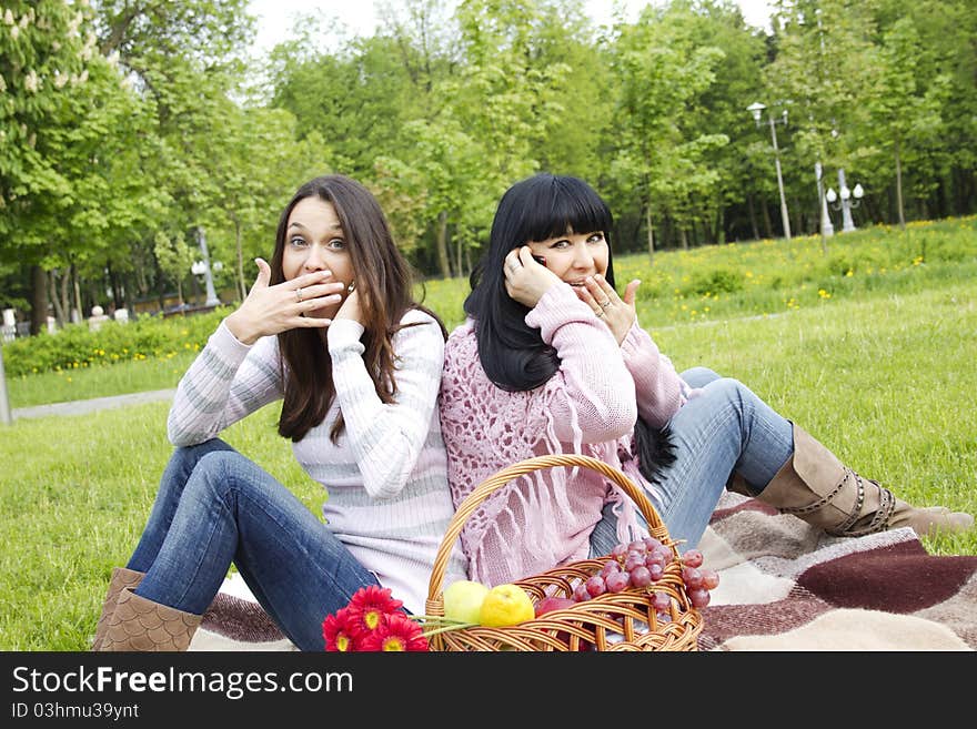 Mother and daughter sitting at a picnic they say, both by phone next to a fruit basket with flowers and wine. Mother and daughter sitting at a picnic they say, both by phone next to a fruit basket with flowers and wine