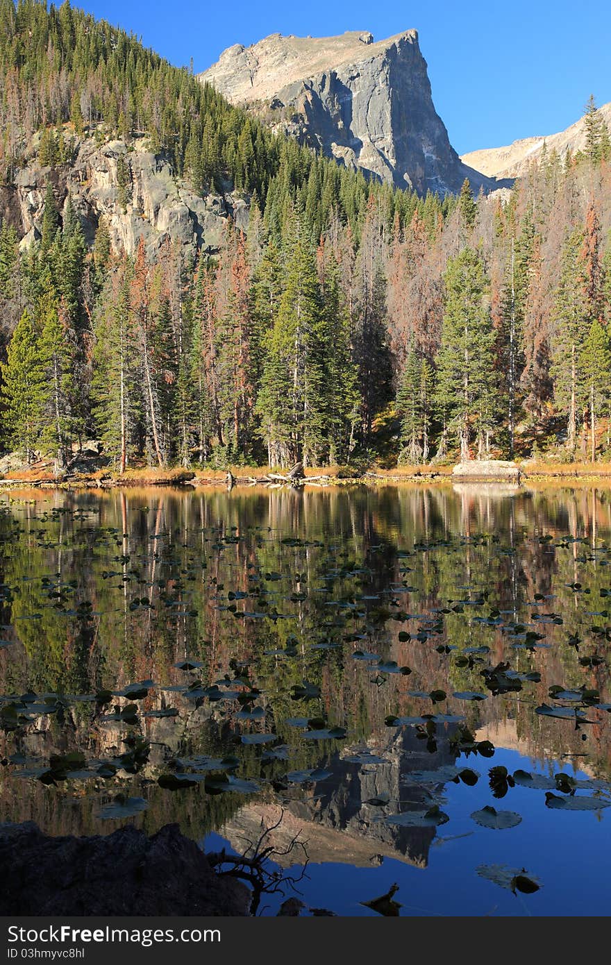 Beautiful Nymph Lake in the Rocky Mountain National Park in Colorado