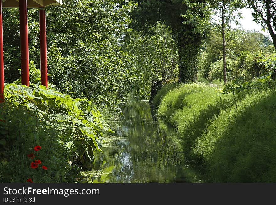 Rich Vegetation