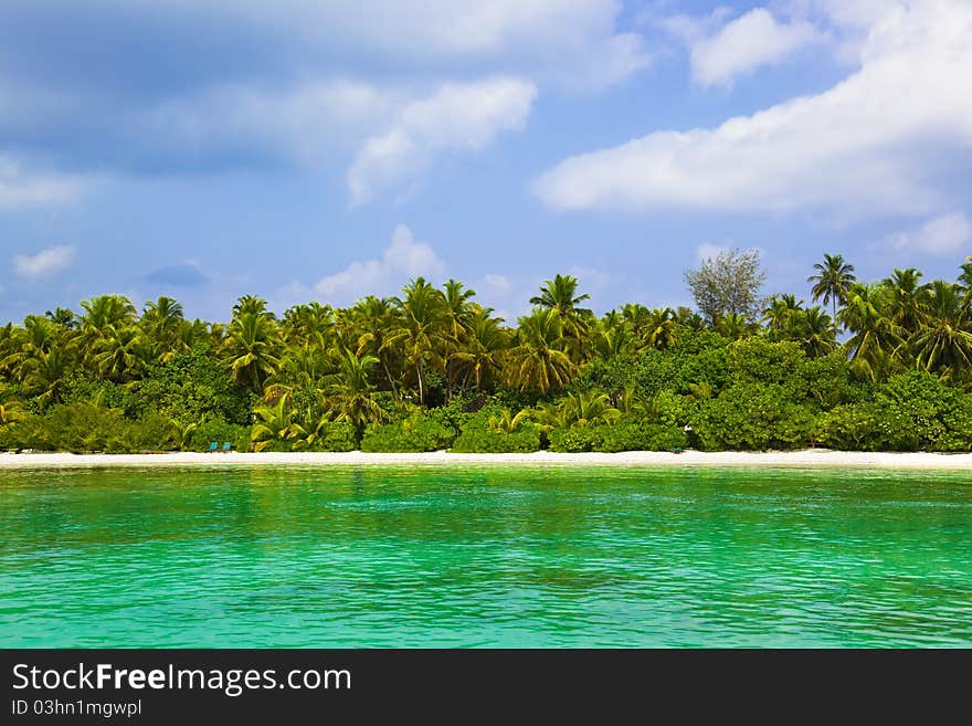 Tropical beach and jungle - maldives vacation background. Tropical beach and jungle - maldives vacation background