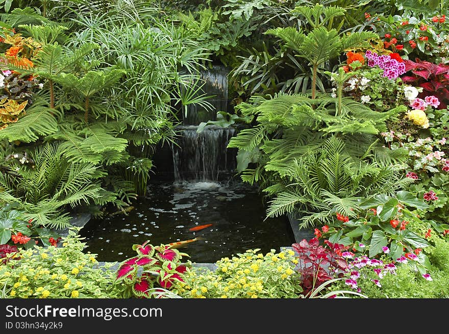 Colorfull garden on Vanvouver Island