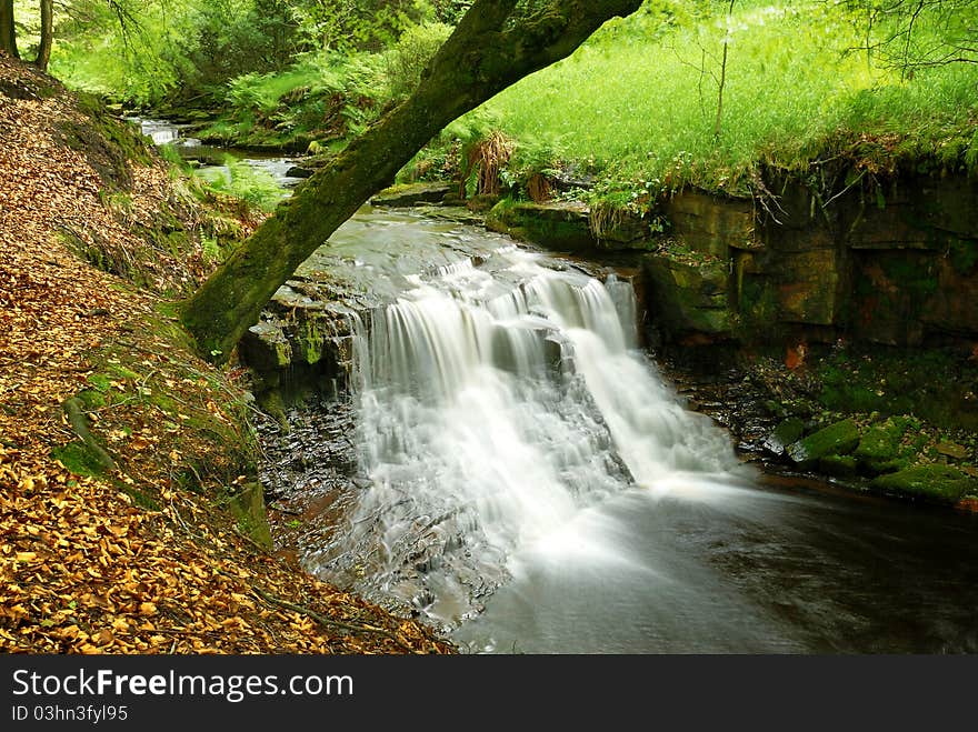 A Waterfall at Roddlesworth, England