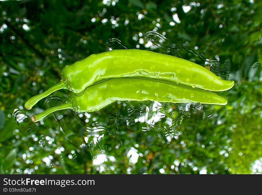 Green, hot pepper from the garden