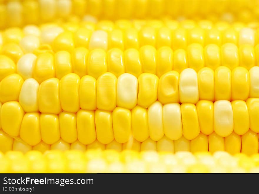 Yellow corn, very fresh and isolated on studio. Yellow corn, very fresh and isolated on studio.