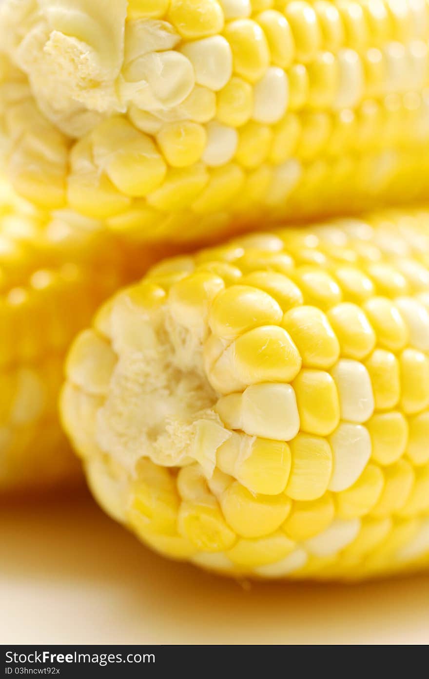 Corn close-up.