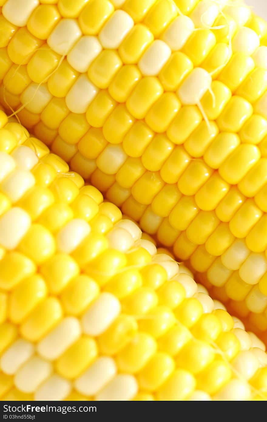 Yellow corn, very fresh and isolated on studio. Yellow corn, very fresh and isolated on studio.