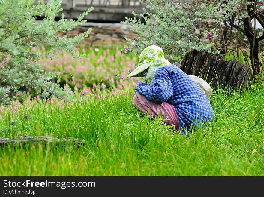 Farmer Working In The Field