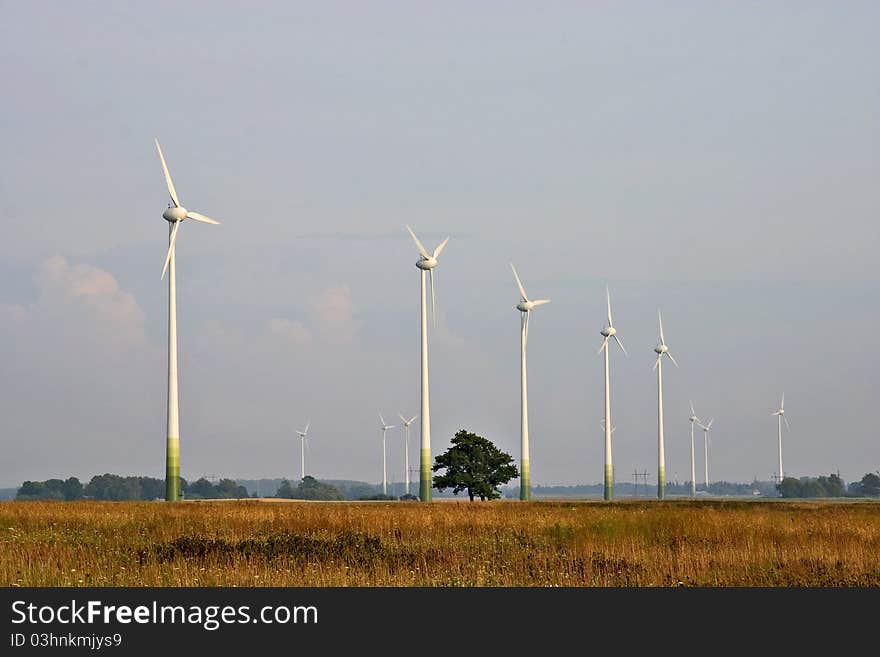 Wind turbines in the field. Wind turbines in the field.