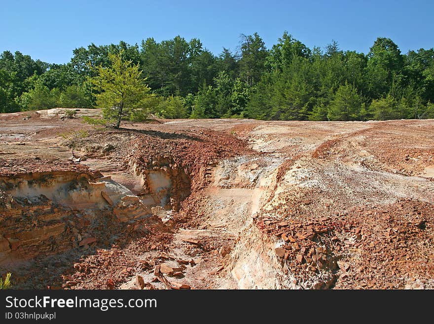 Sandstone Clearing