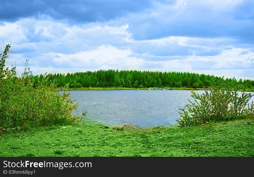 Beautiful landscape with trees and water