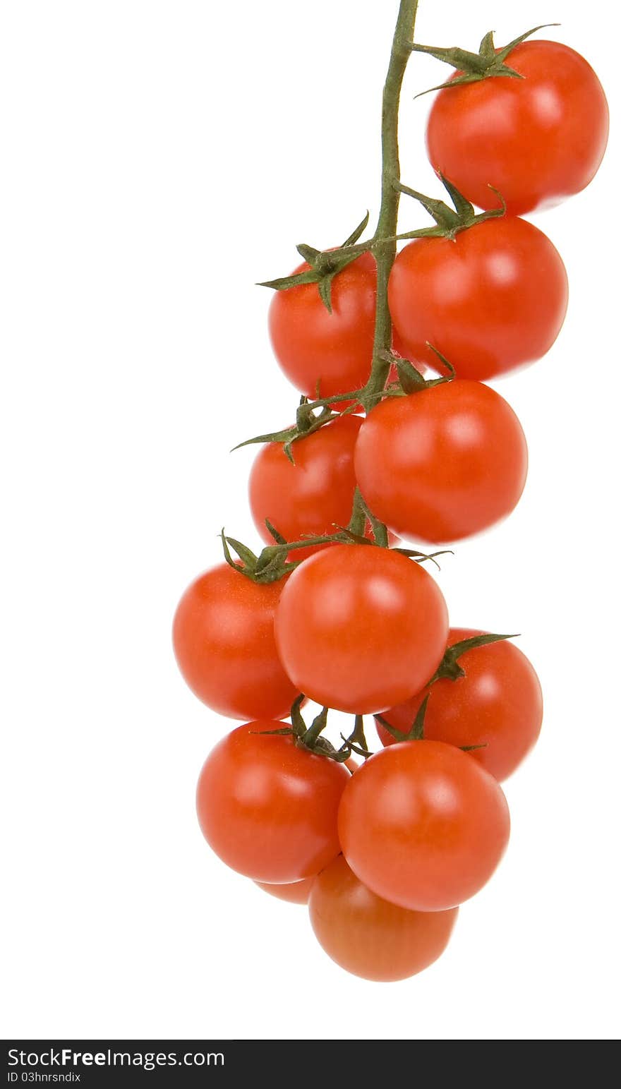 Red tomato branch isolated on white background