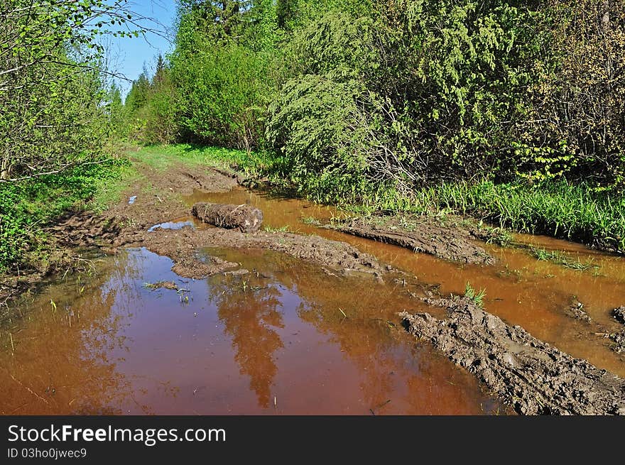 Mud Puddle On A Forest Road