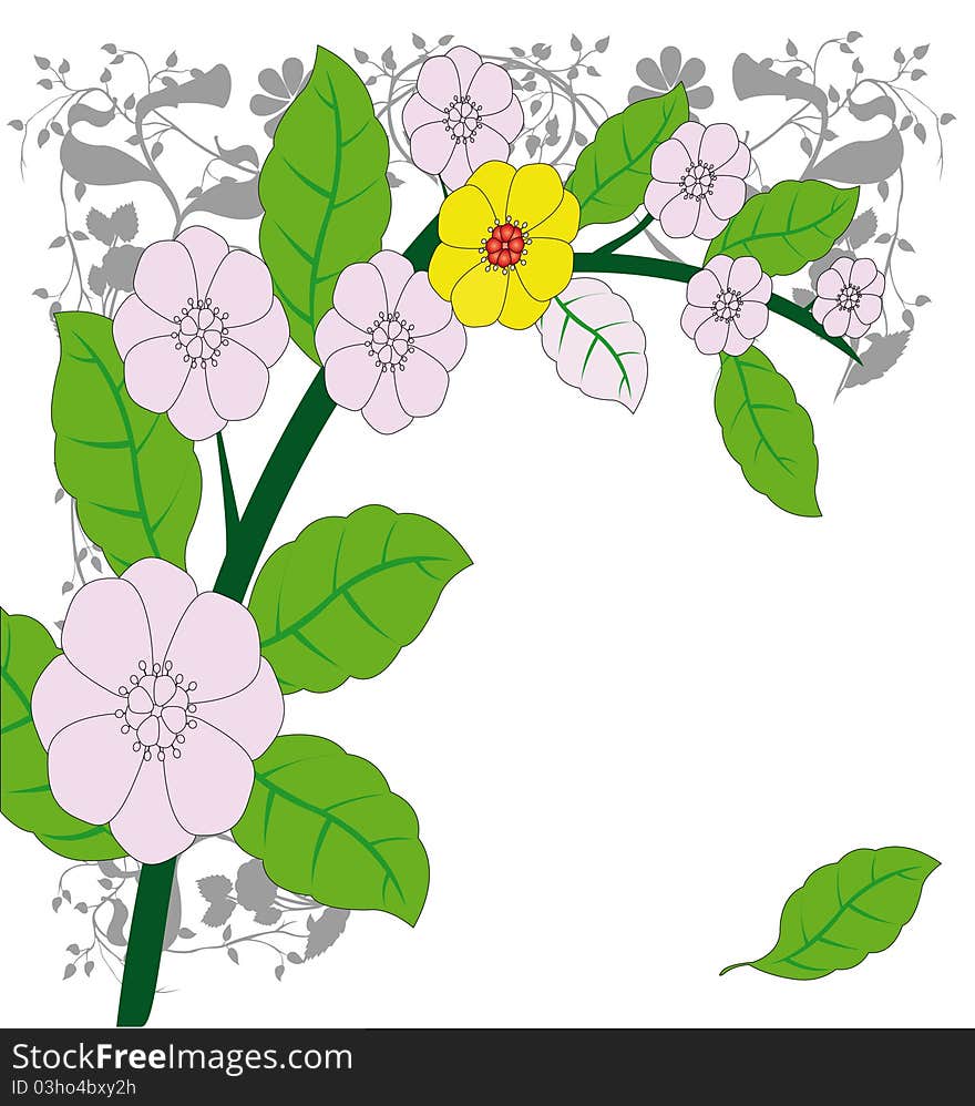 Illustration of the floral background