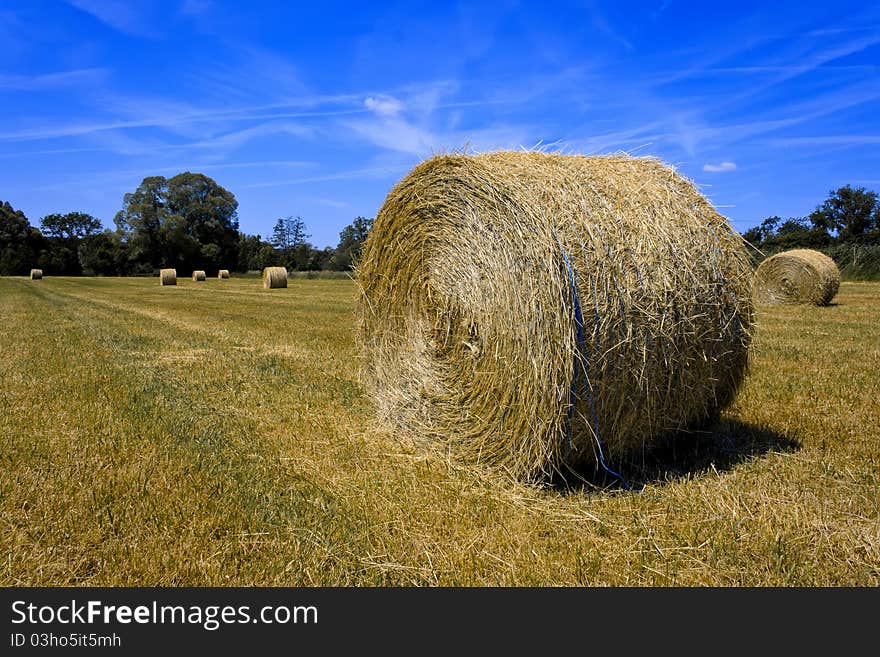 Haystack drying under the sunny field. Haystack drying under the sunny field