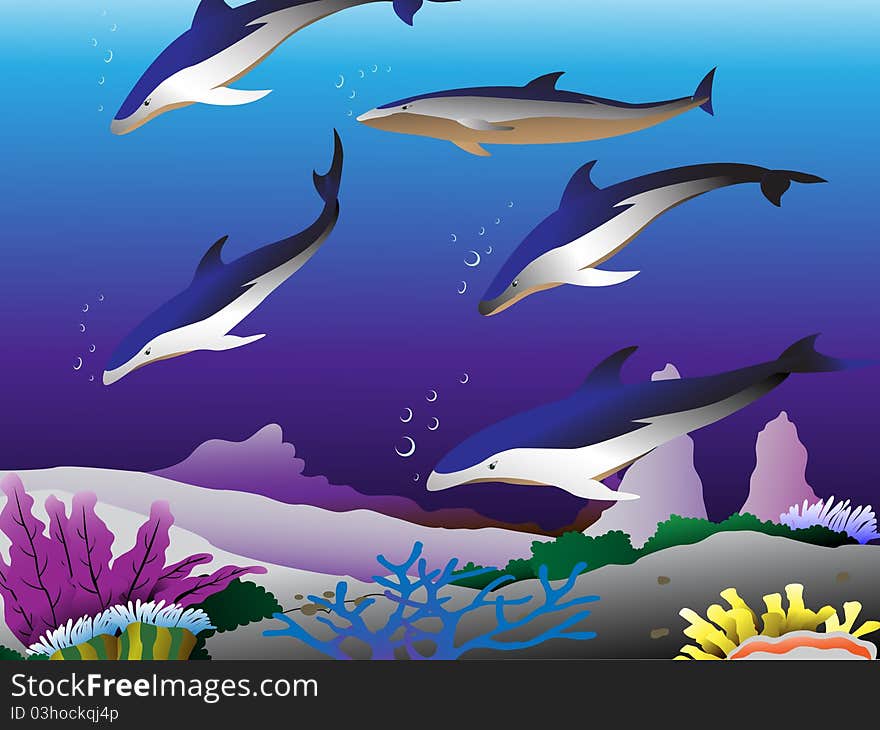 Dolphins in the sea