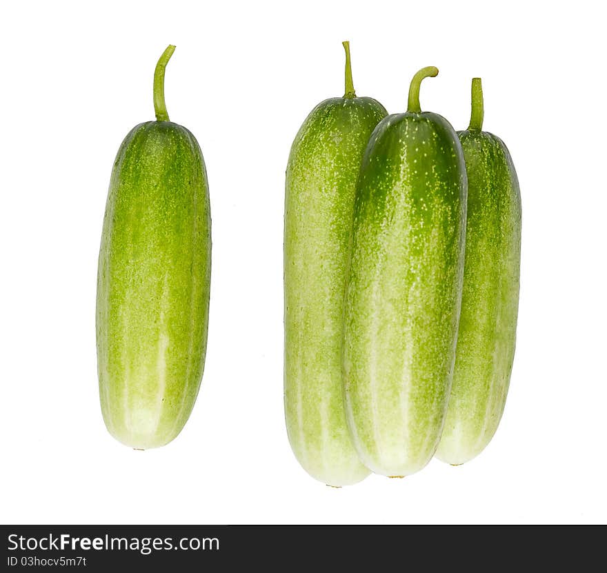 Clean and green cucumber isolated