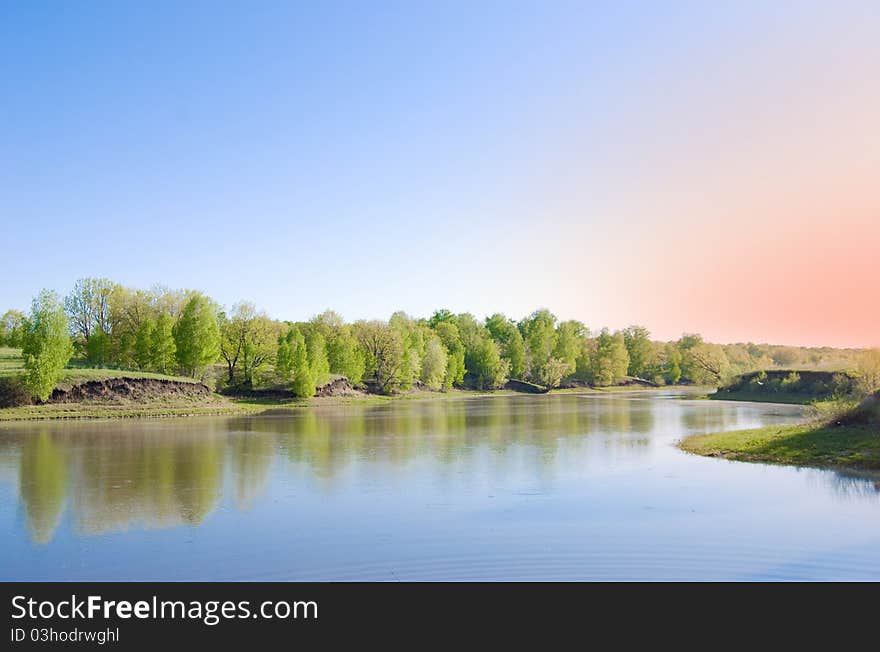 Forest river on background trees and sky